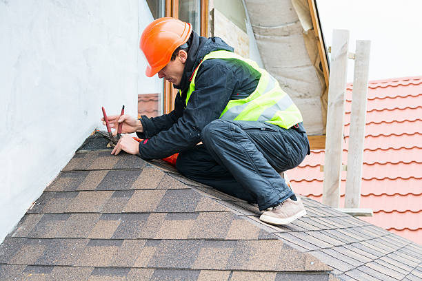 Best Roof Gutter Cleaning  in Cedarburg, WI